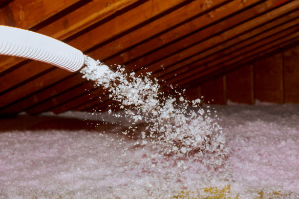 Best Geographic-Specific Insulation Services in Penryn, CA