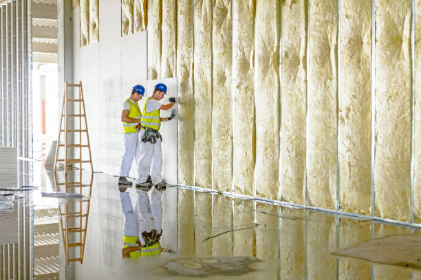 Best Commercial Insulation in Penryn, CA